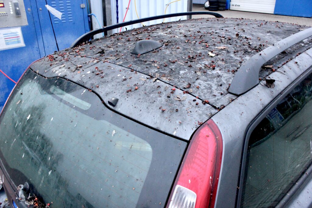 diepholzer-autowaschcenter-vorher-nachher-vergleich-perfekte-reinigung-selbstreinigung-waschbox-diepholz Vorher-Nachher-Vergleich der Reinigung im Diepholzer Autowaschcenter – gründliche Selbstreinigung in der Waschbox.